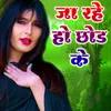 About Ja Rahe Ho Chhod Ke Song